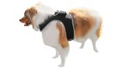 Dogs Cats Realtime Pocket Waterproof GPS Animal Tracking Tool Locator Size:L
